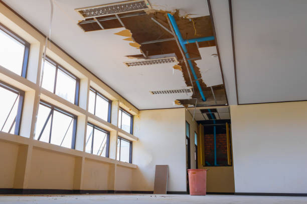 Best Water damage restoration near me  in Wrightstown, WI