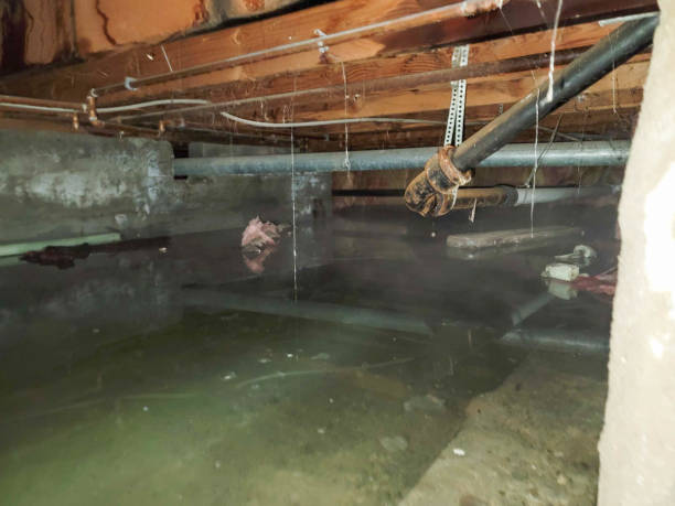 Best Sewage cleanup and water damage restoration  in Wrightstown, WI
