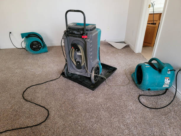 Best Water damage restoration process  in Wrightstown, WI