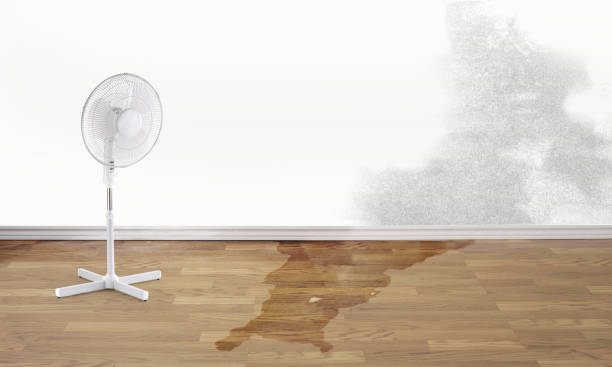 Best Water damage restoration cost  in Wrightstown, WI