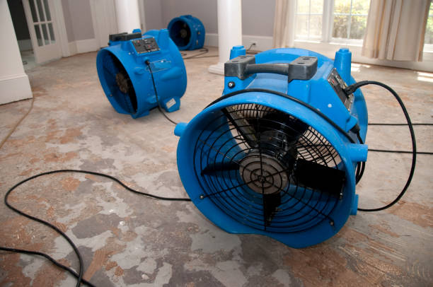 Best Water damage restoration near me  in Wrightstown, WI