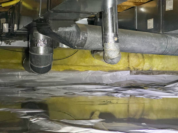 Best Mold removal after water damage  in Wrightstown, WI