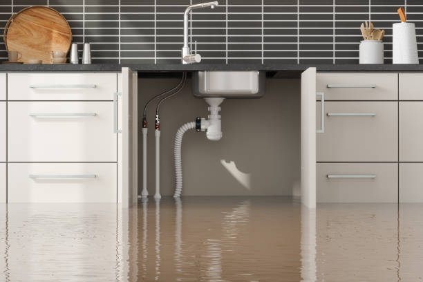 Best Basement water damage restoration  in Wrightstown, WI