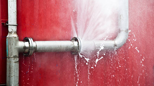 Best Flood damage cleanup  in Wrightstown, WI